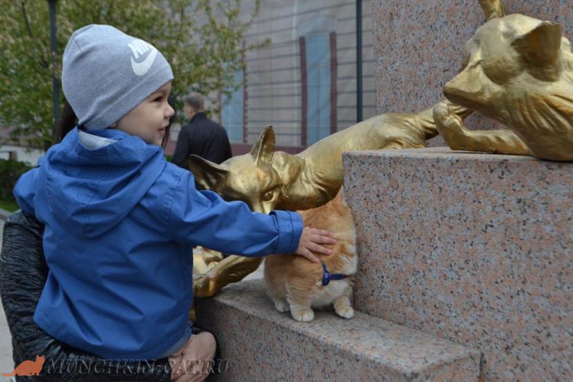Busya сквер Сибирских кошек Тюмень