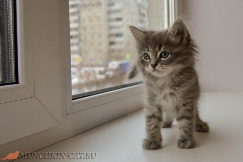 Izya Karapuz 14.01.2020